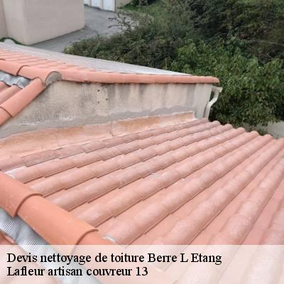 devis-nettoyage-de-toiture