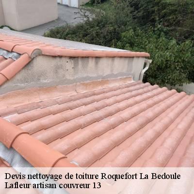 devis-nettoyage-de-toiture